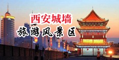 日韩骚寡妇20p图片中国陕西-西安城墙旅游风景区