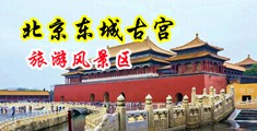 操女人逼自慰网址中国北京-东城古宫旅游风景区